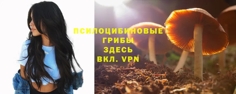 Галлюциногенные грибы Magic Shrooms  Амурск 